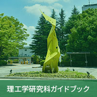 ガイドブック